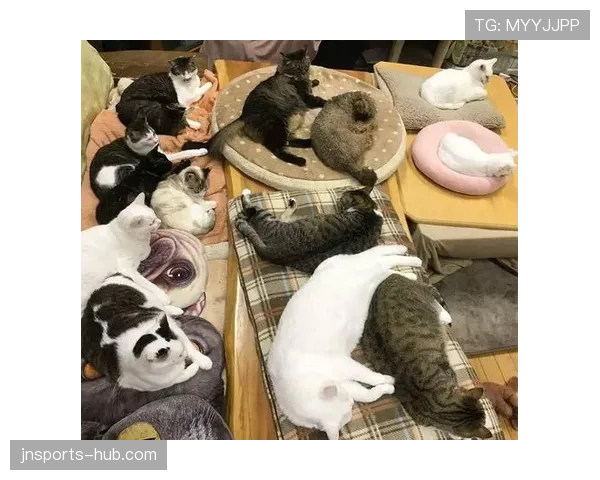 扎克拉文家的狗都比我会花钱